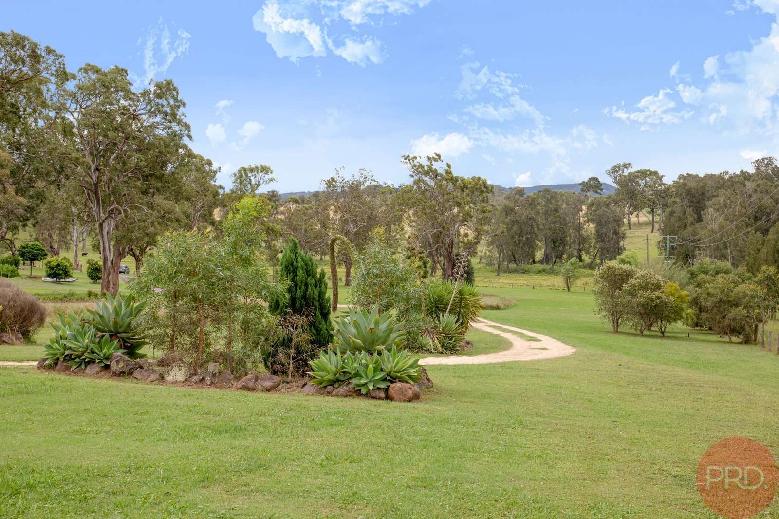 234 Maitland Vale Road MAITLAND VALE 15