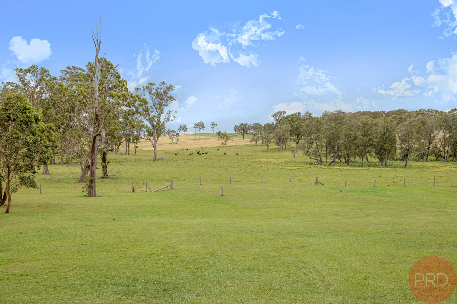 234 Maitland Vale Road MAITLAND VALE 19