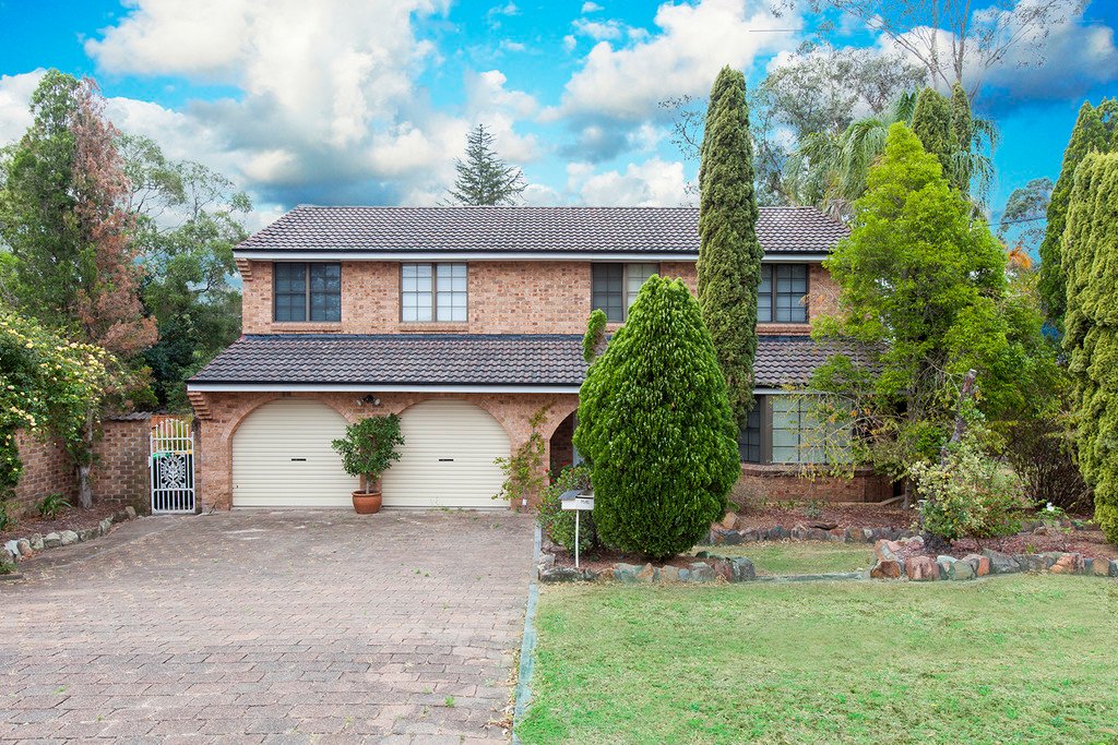 234 Paterson Road BOLWARRA HEIGHTS 12