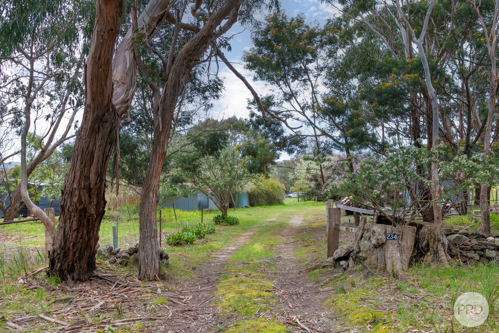 234 Snowgum Road DEREEL 9