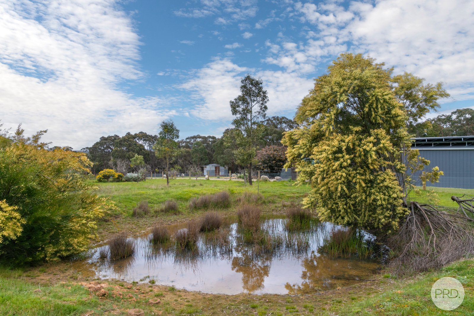 234 Snowgum Road DEREEL 10