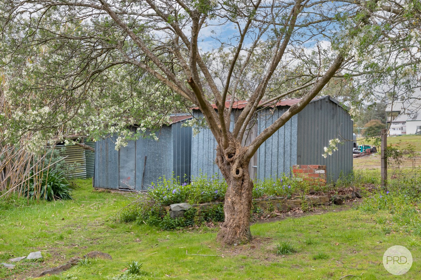 234 Snowgum Road DEREEL 11