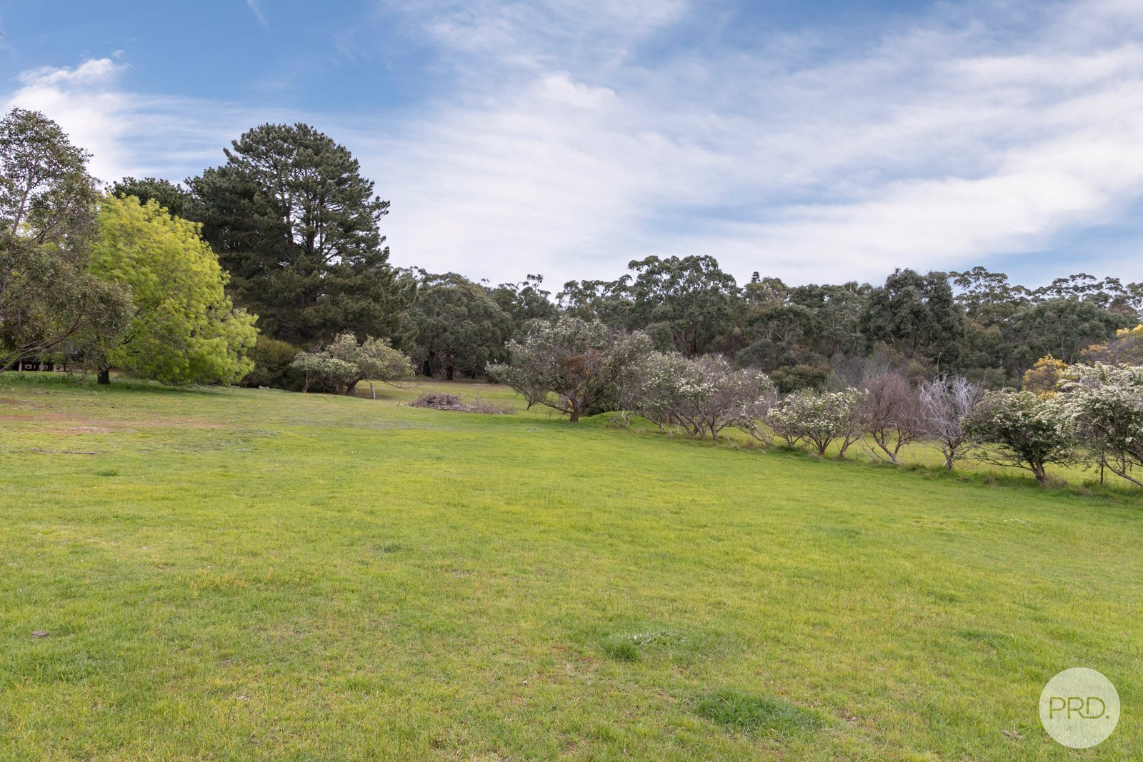 234 Snowgum Road DEREEL 12