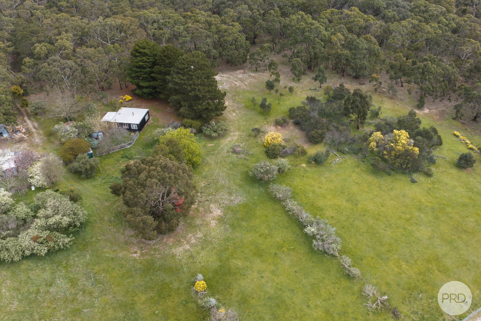 234 Snowgum Road DEREEL 13