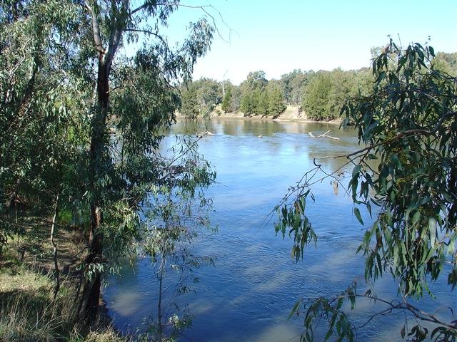 2/35 Higgins Ave  WAGGA WAGGA 4