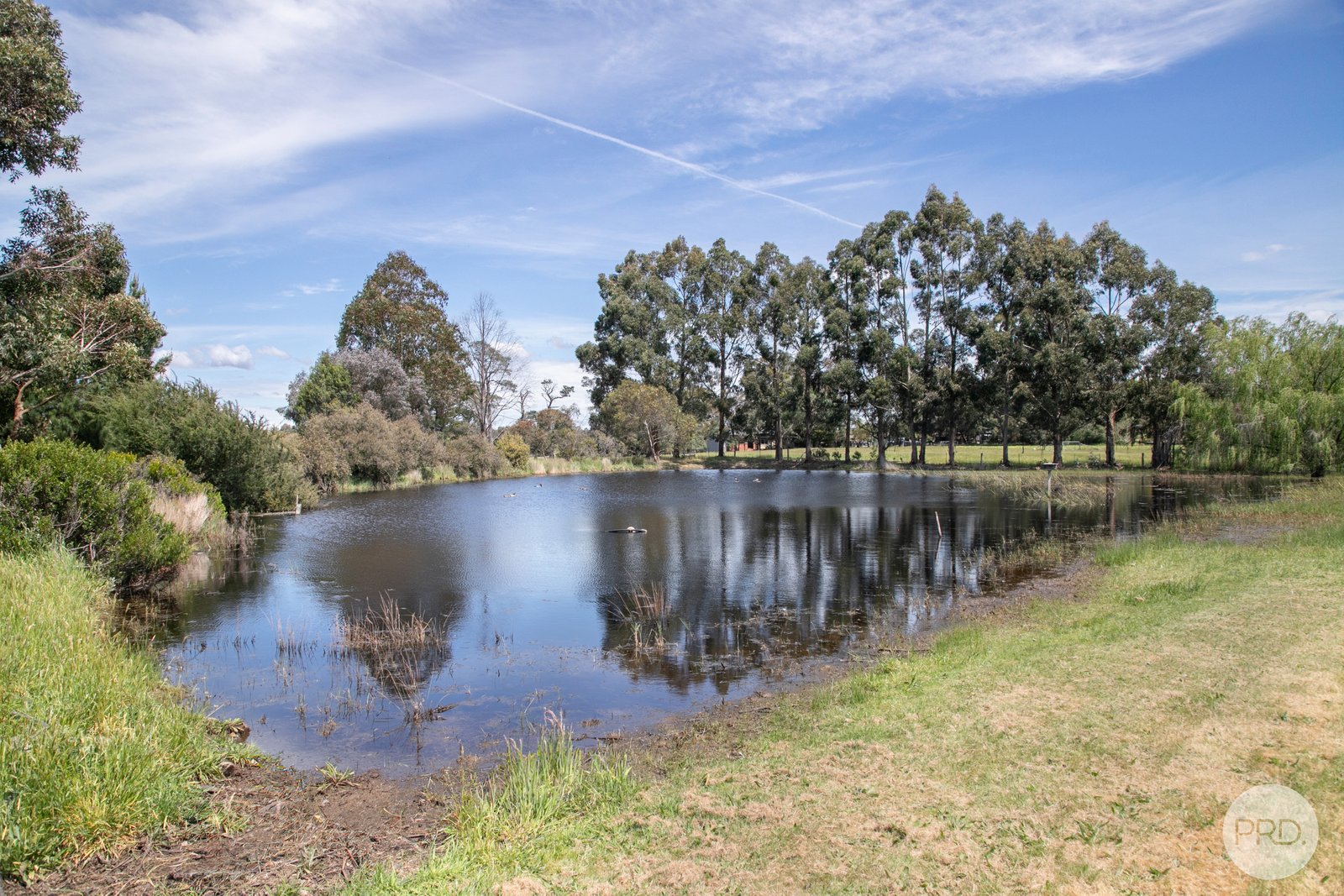 235 Jollys Hill Road SMYTHES CREEK 16