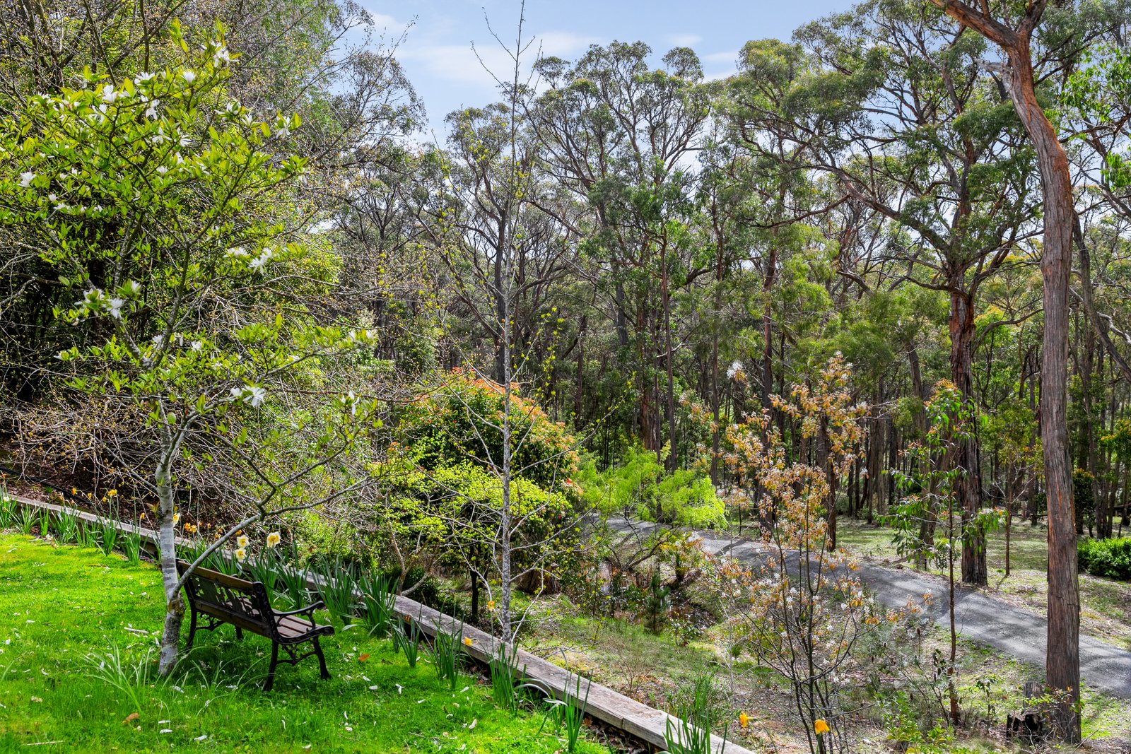 236 Glenisla Road NERRINA 18