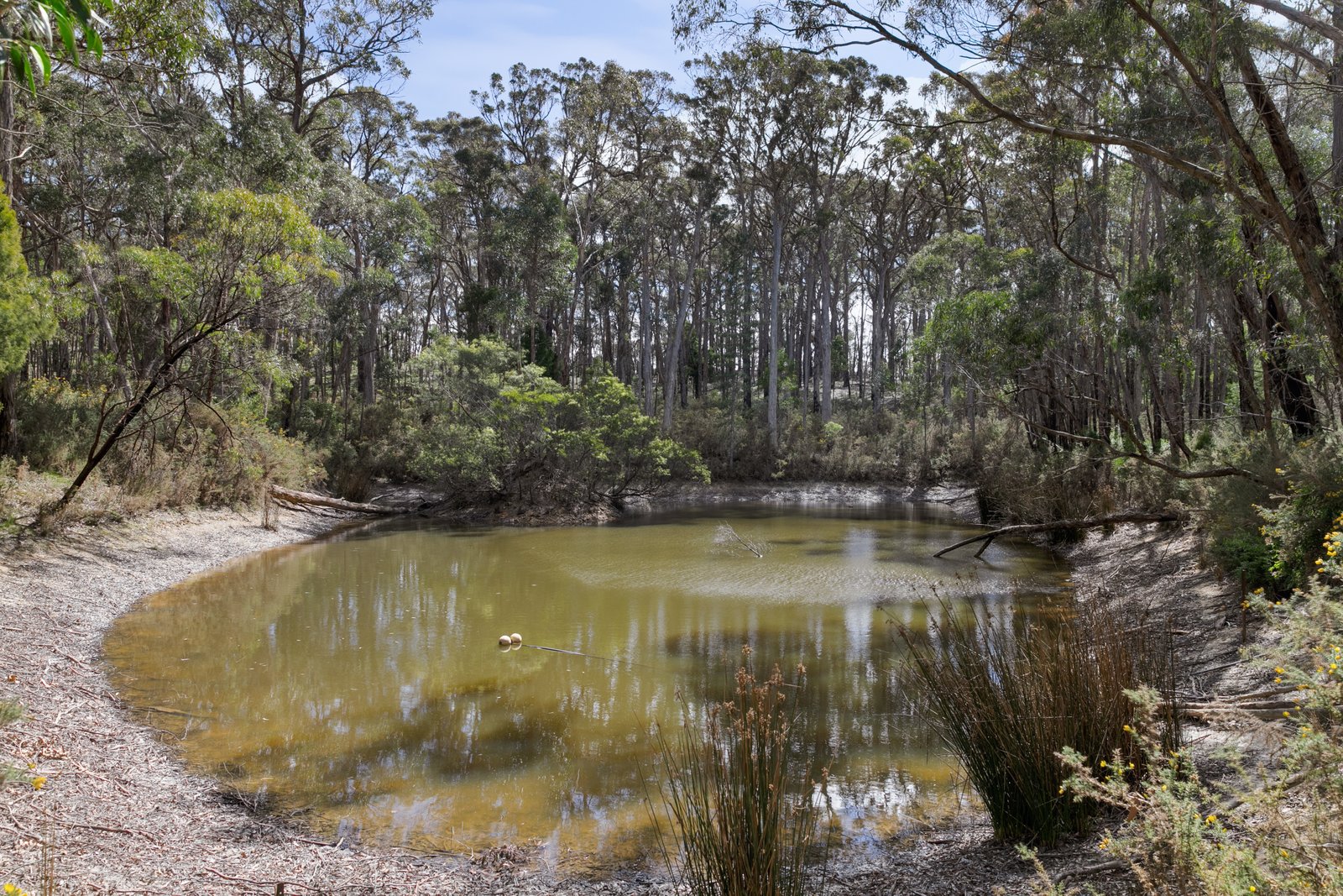 236 Glenisla Road NERRINA 20