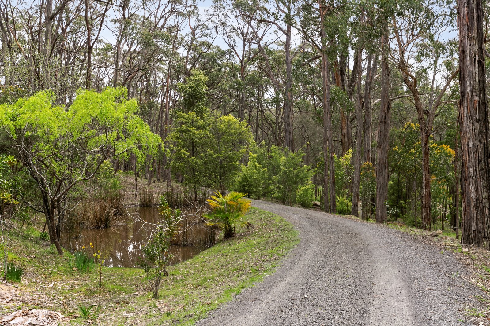 236 Glenisla Road NERRINA 22