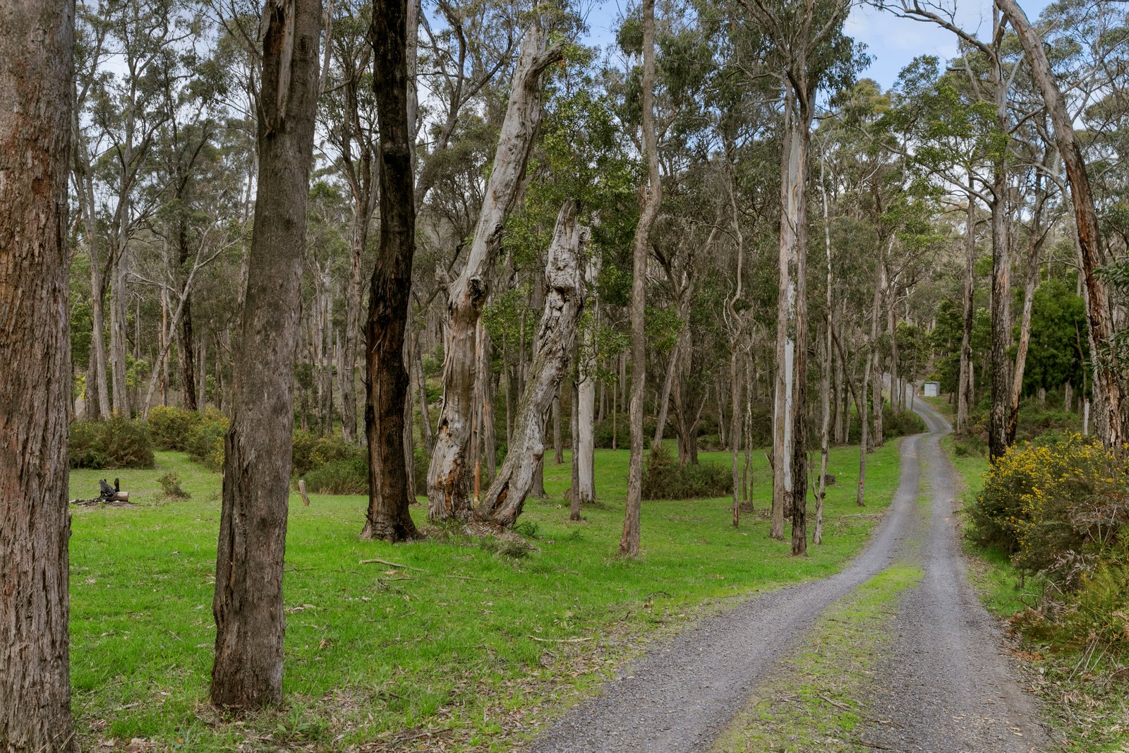 236 Glenisla Road NERRINA 23