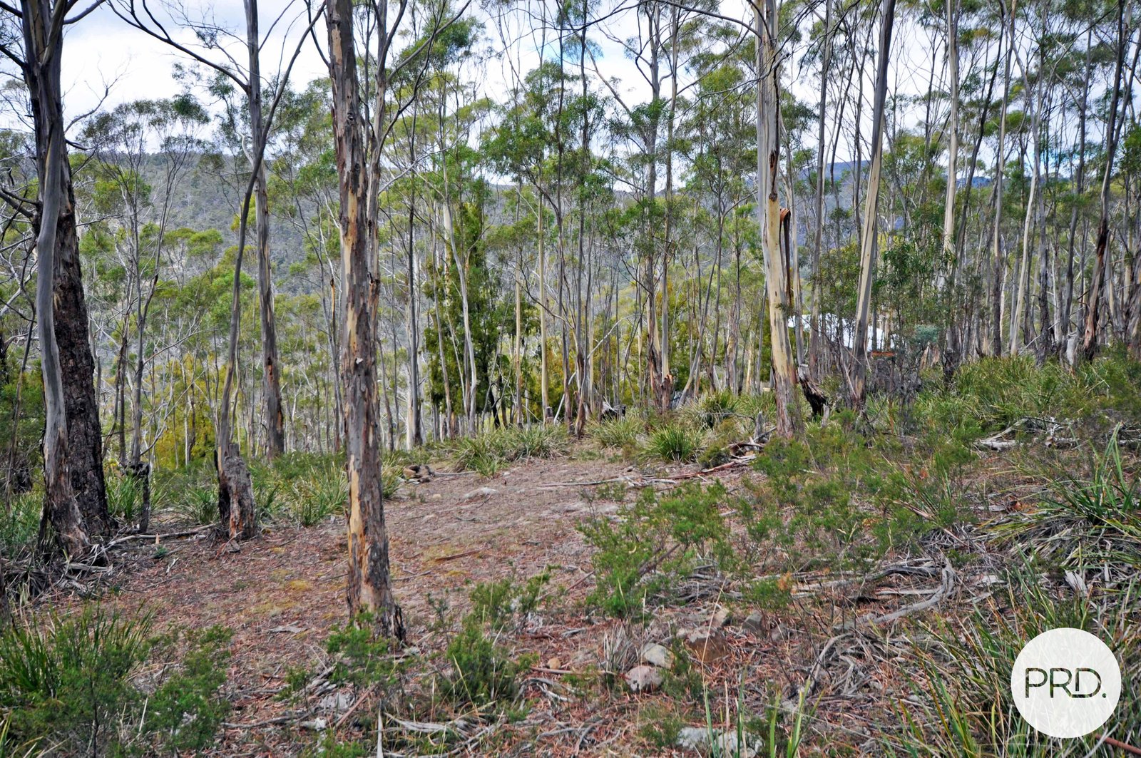 236 Moogara Road MOOGARA 9
