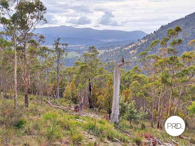 236 Moogara Road MOOGARA 12