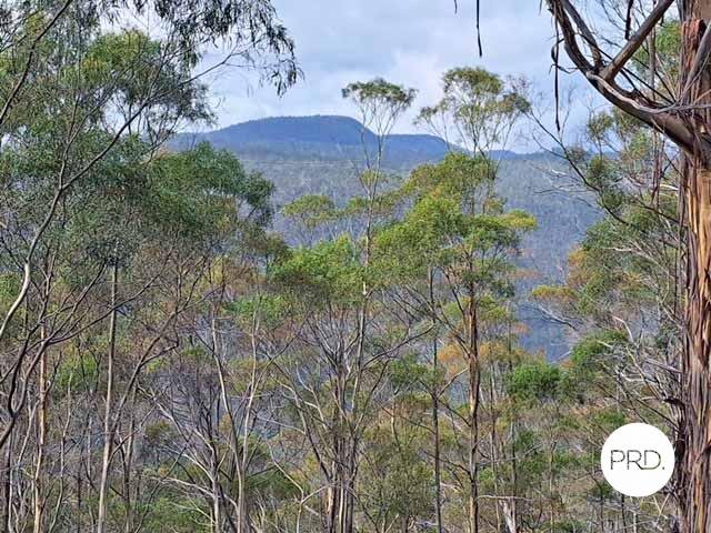 236 Moogara Road MOOGARA 14