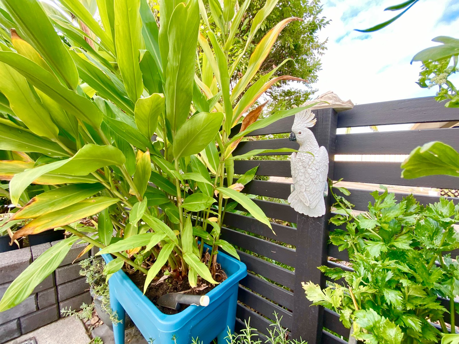 236 Sandy Point Road SALAMANDER BAY 27
