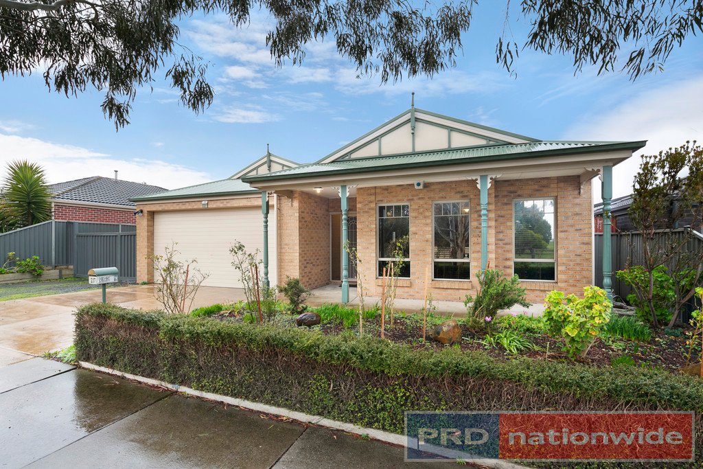 237 Grant Street SEBASTOPOL 1
