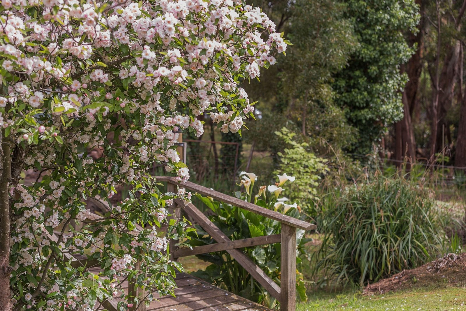 Real Estate and Property in 237 Mount Macedon Road, Macedon, VIC