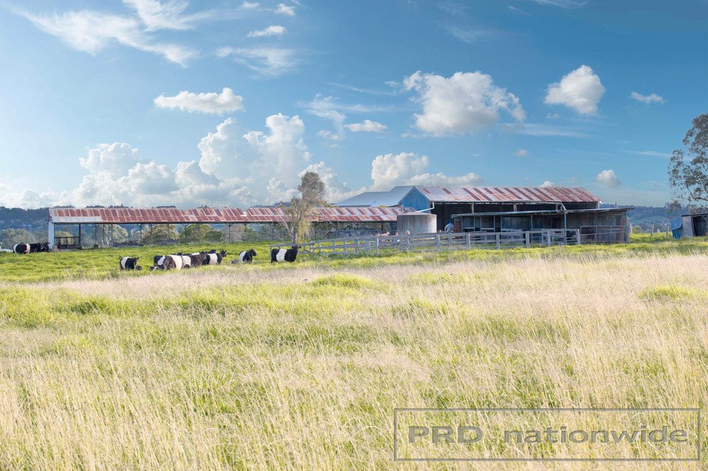 237 Windermere Road LOCHINVAR 18