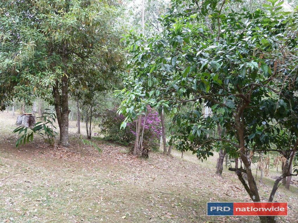 2376 Collins Creek Road KYOGLE 18