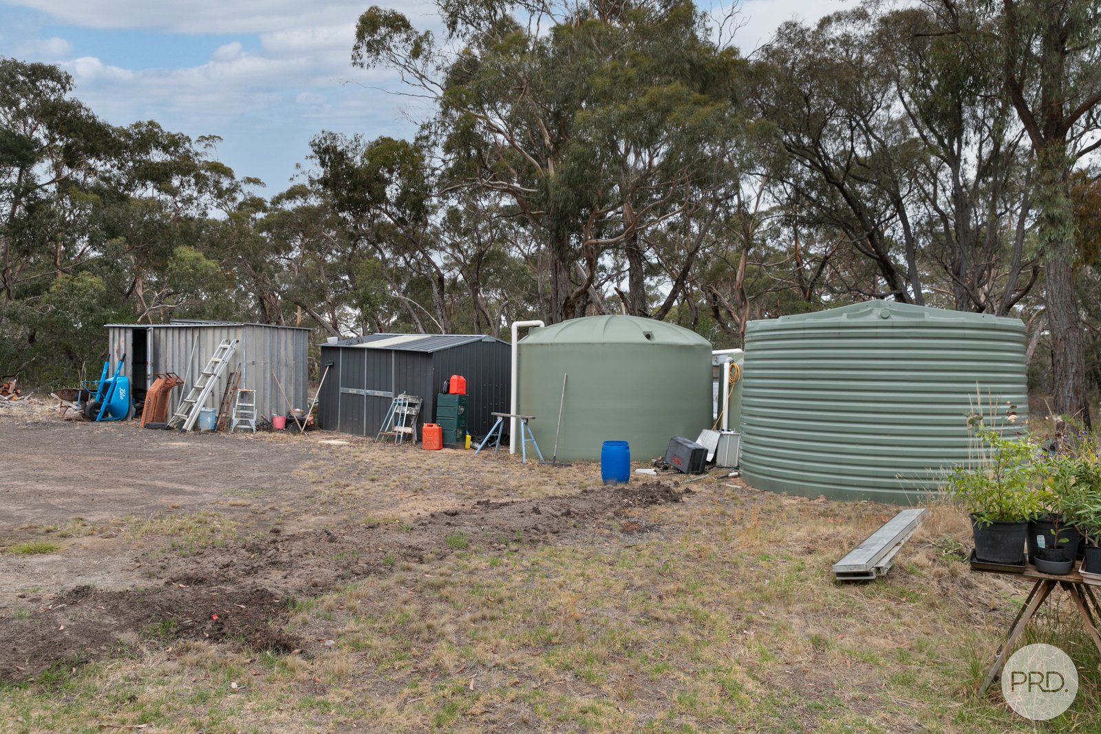 238 Browns Road DEREEL 13