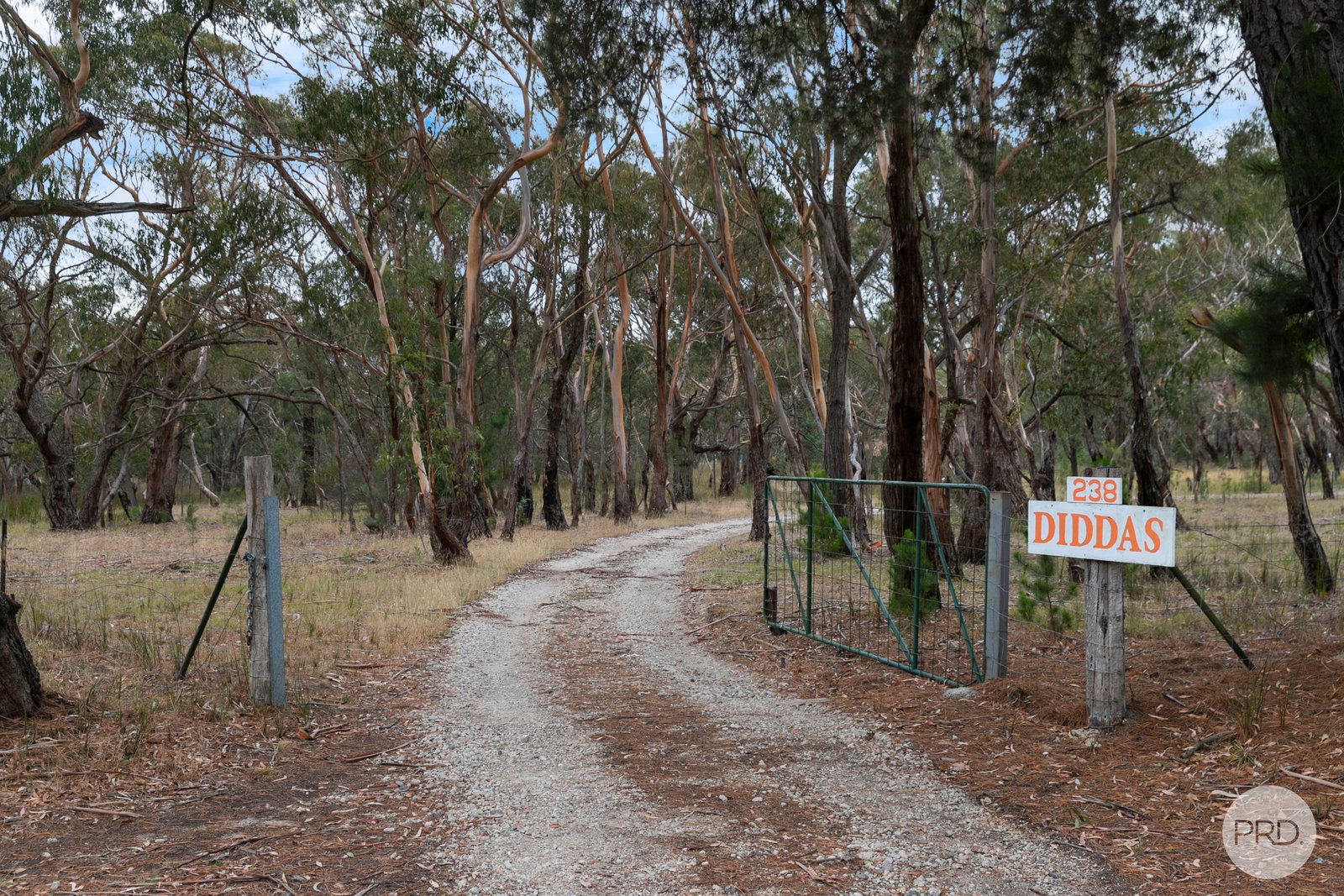 238 Browns Road DEREEL 16