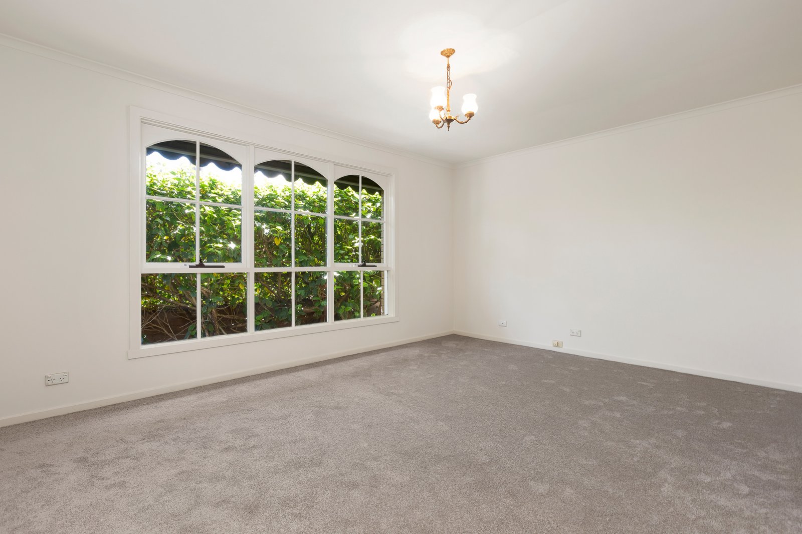 Gallery: 2/38 Eden Street