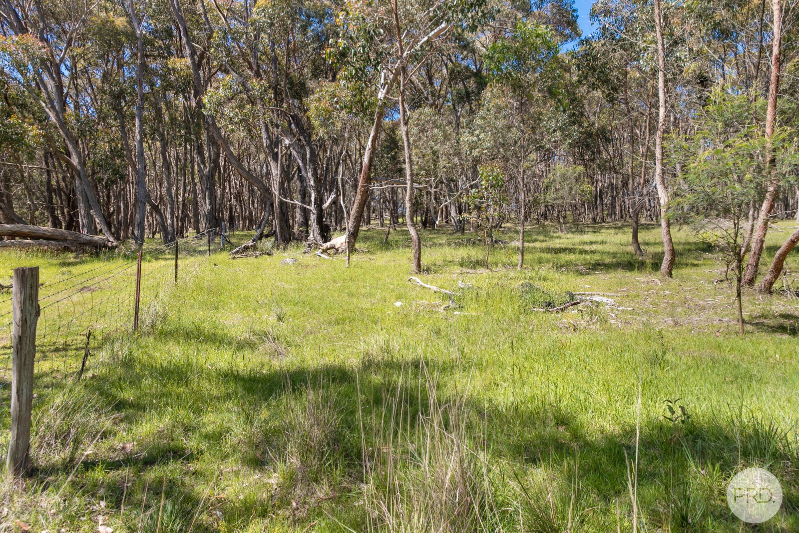 238 Flagstaff Ridge Road LINTON 16