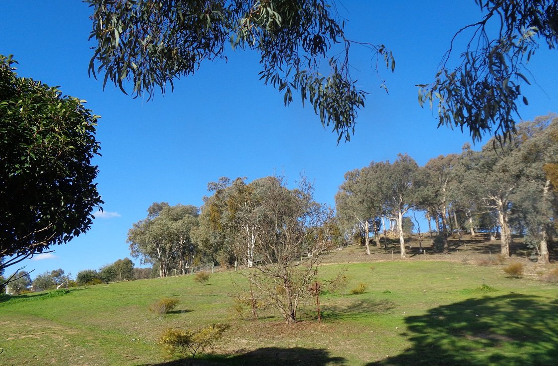 2/389 Snowy Mountains Highway TUMUT 18