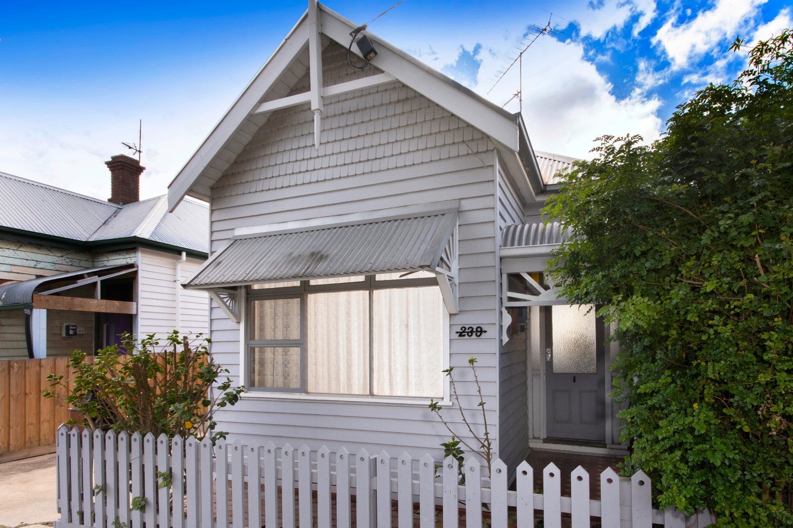 Gallery: 239 Bellerine Street