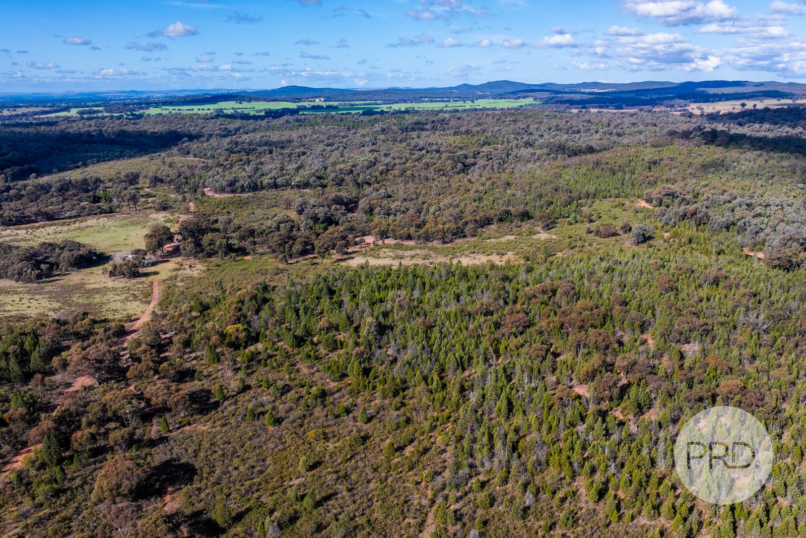 239 Combaning School Road COMBANING 9