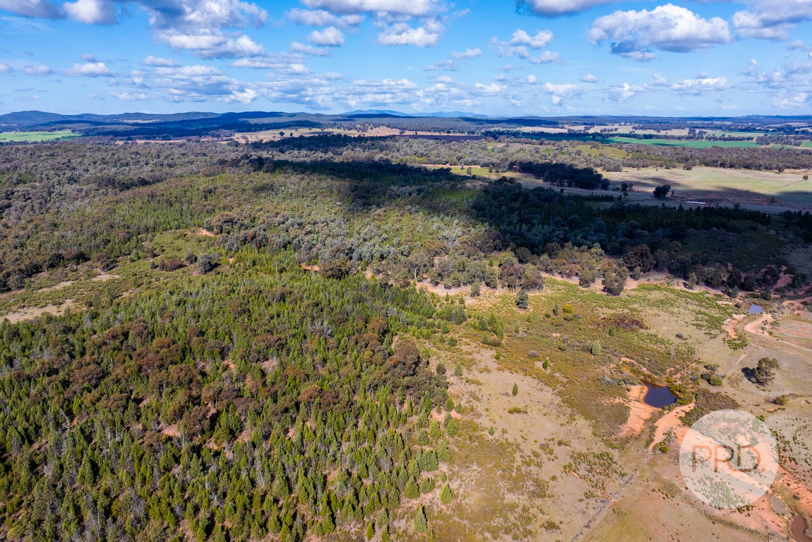 239 Combaning School Road COMBANING 10