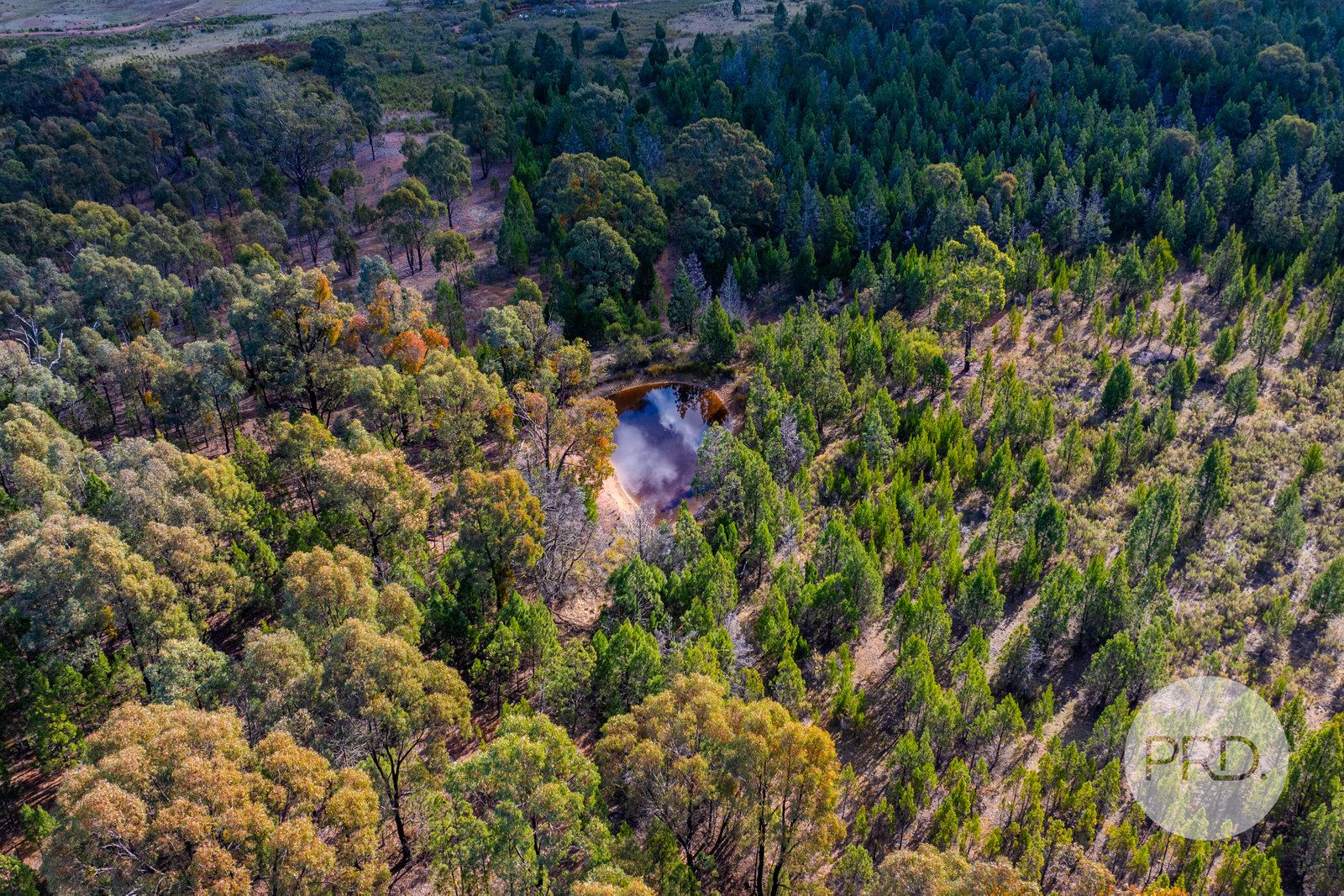 239 Combaning School Road COMBANING 11