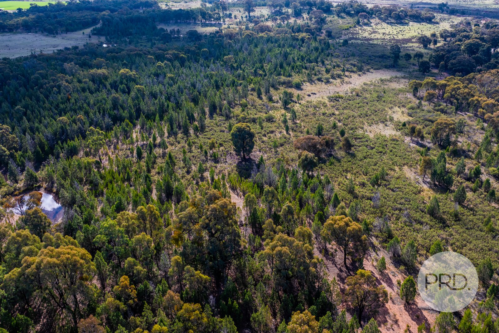 239 Combaning School Road COMBANING 12