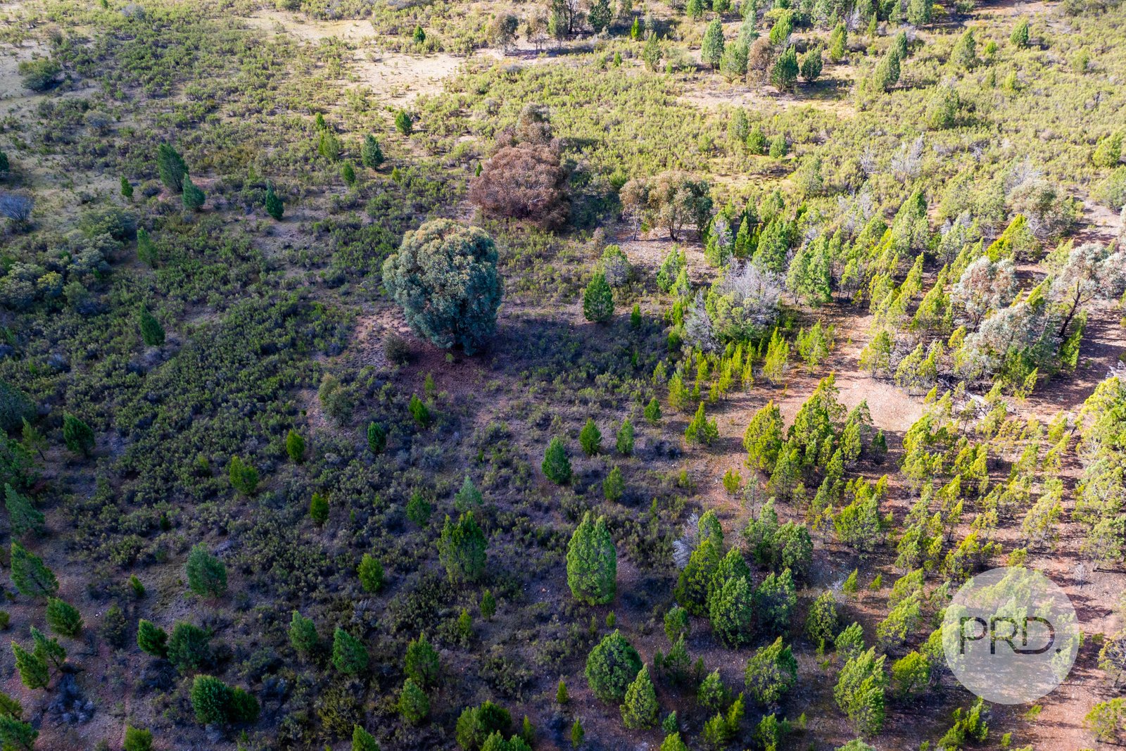 239 Combaning School Road COMBANING 14