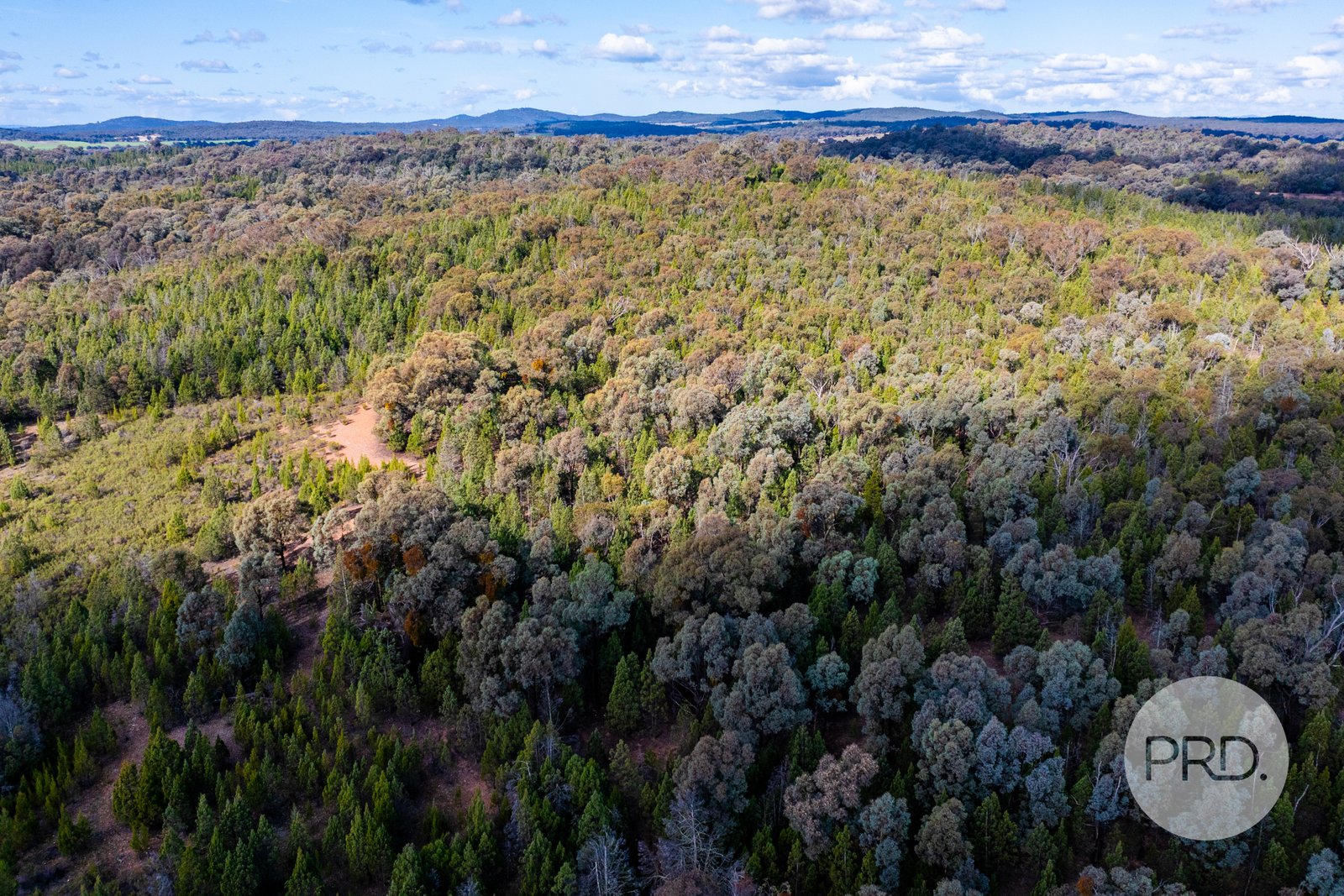 239 Combaning School Road COMBANING 15