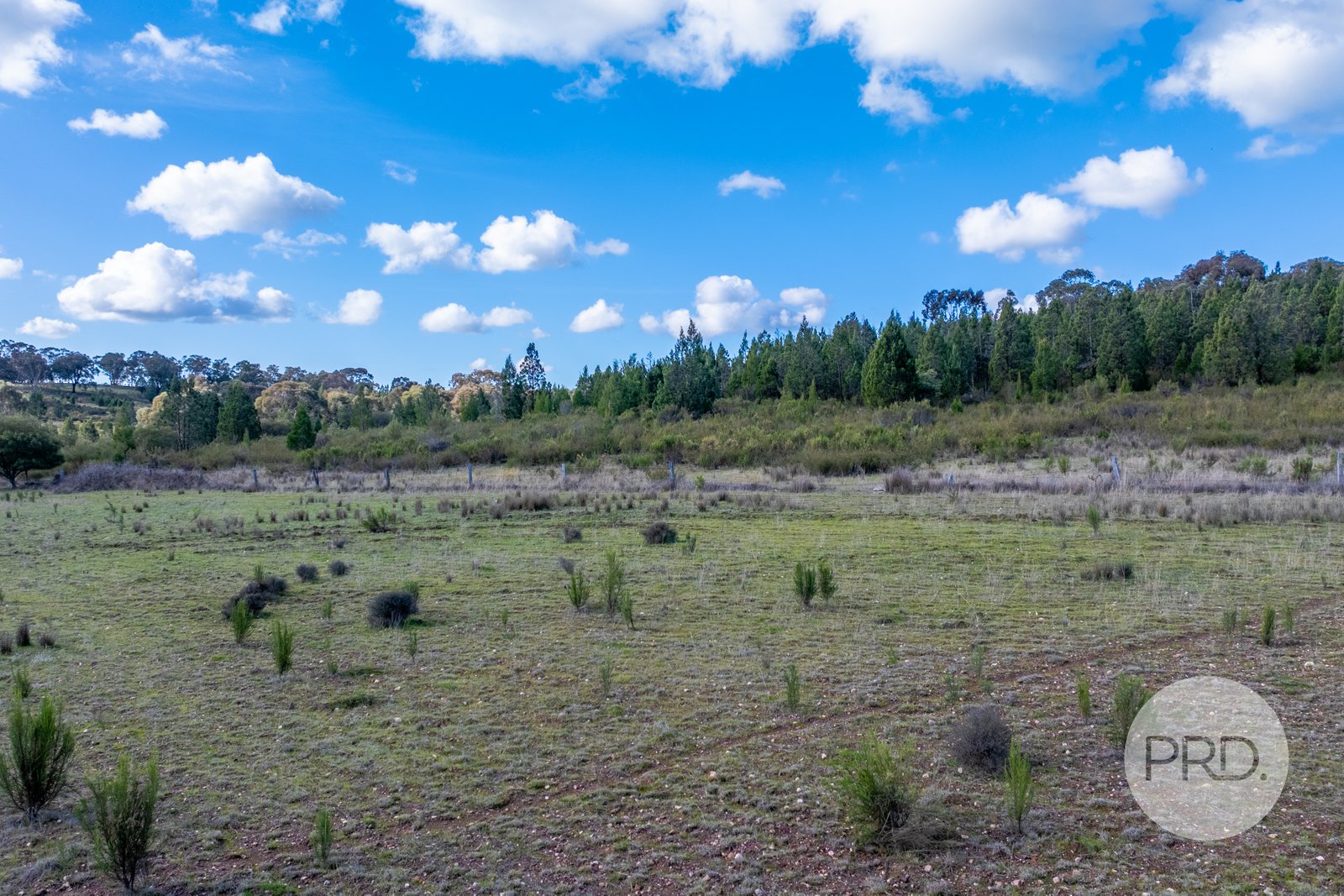 239 Combaning School Road COMBANING 19