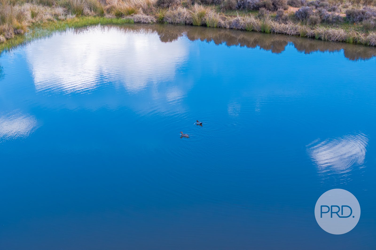 239 Combaning School Road COMBANING 20