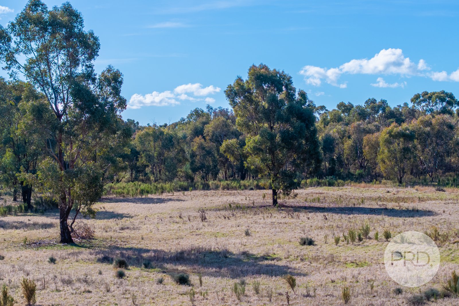 239 Combaning School Road COMBANING 21