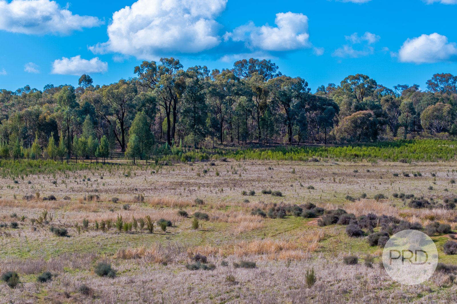 239 Combaning School Road COMBANING 22