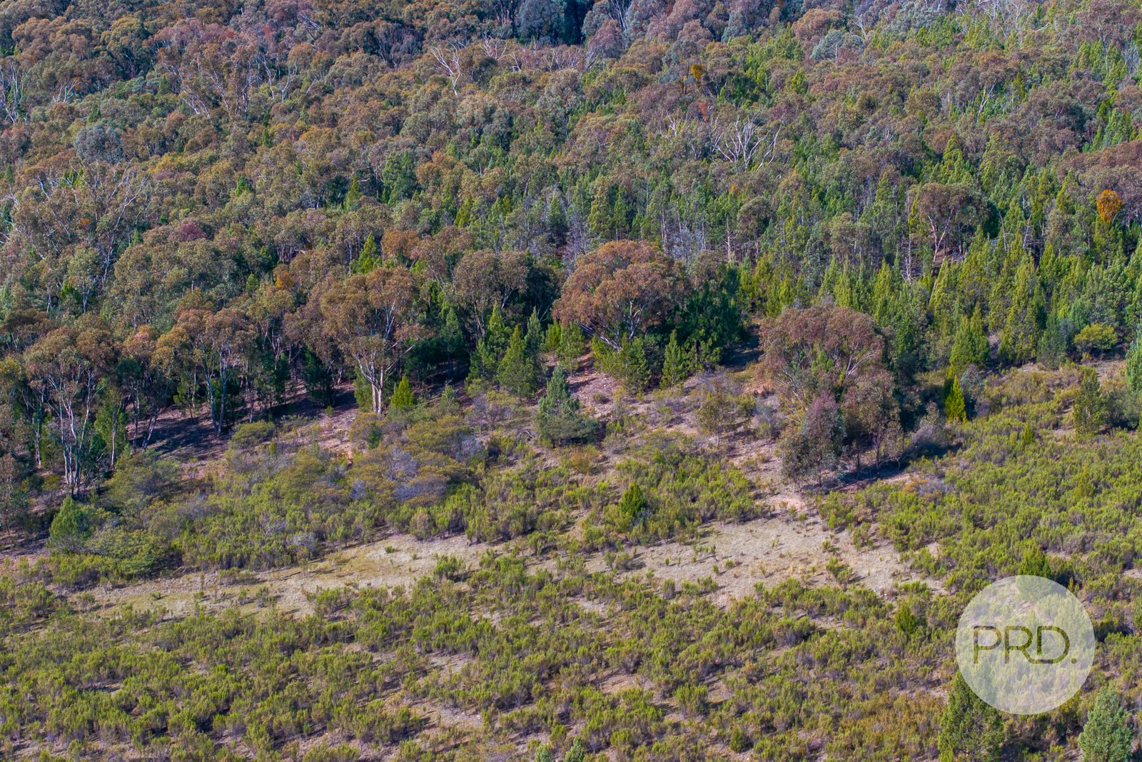 239 Combaning School Road COMBANING 24