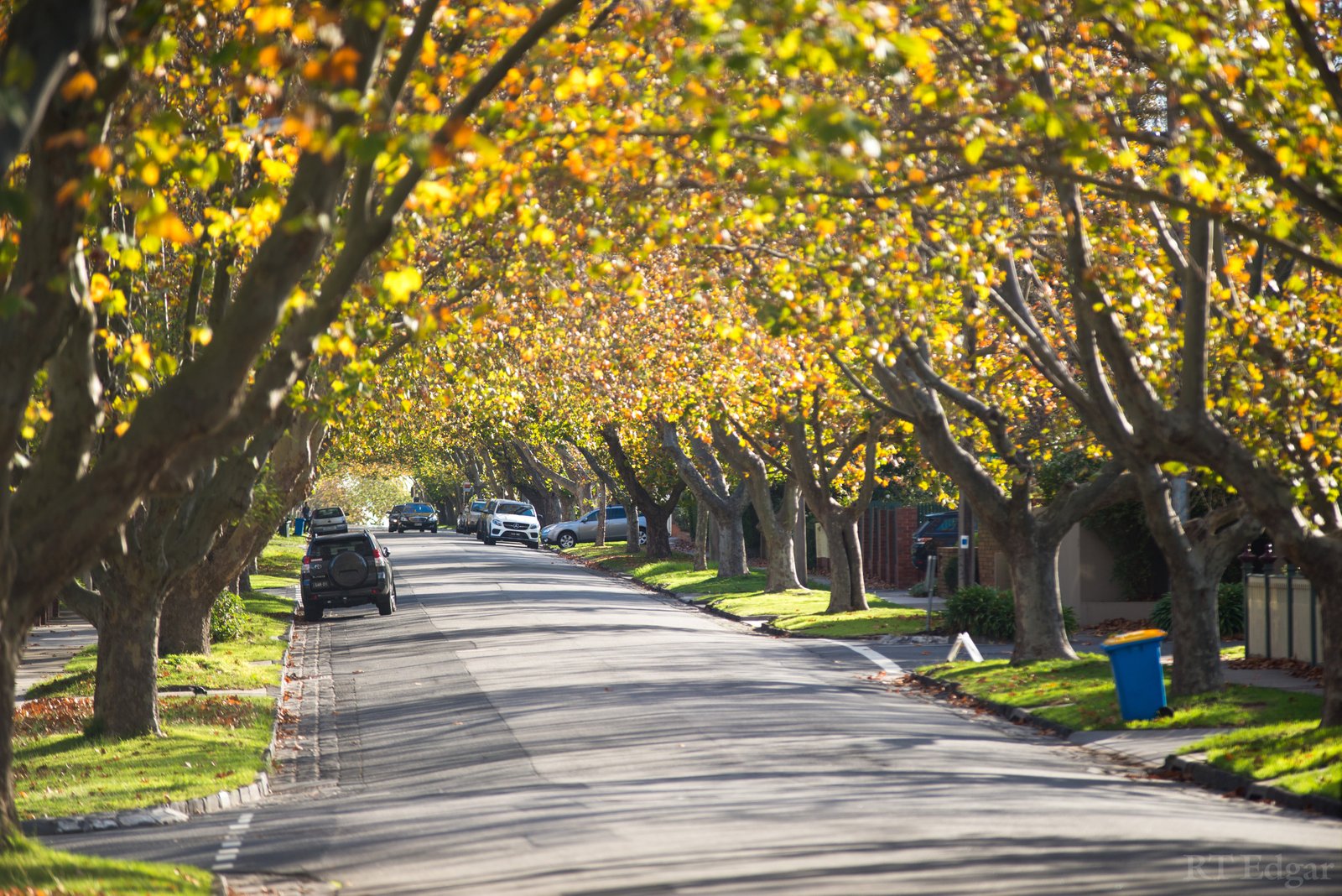 Real Estate and Property in 239 Highfield Road, Camberwell, VIC