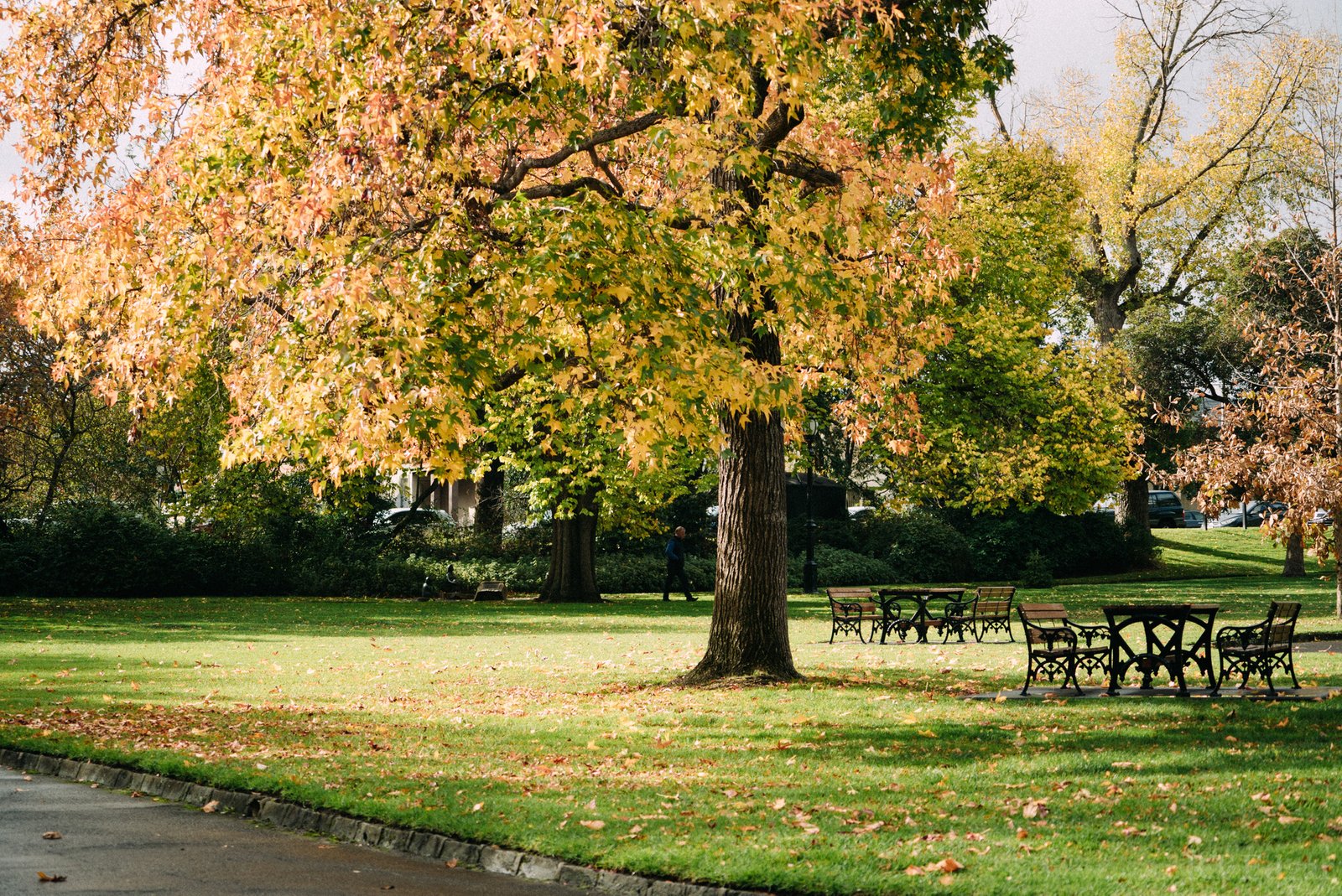 Real Estate and Property in 239 Highfield Road, Camberwell, VIC