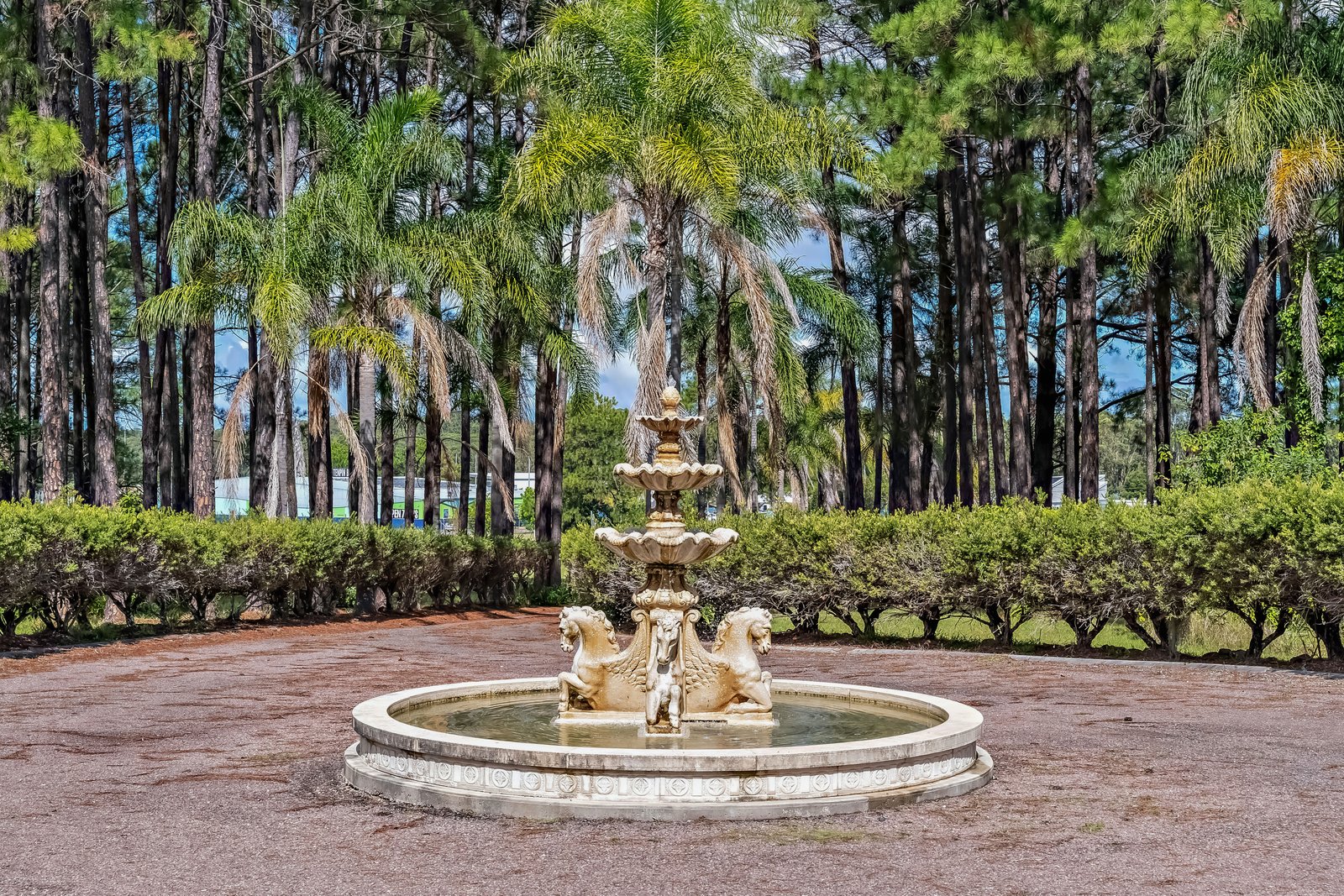 239 Richardson Road RAYMOND TERRACE 13