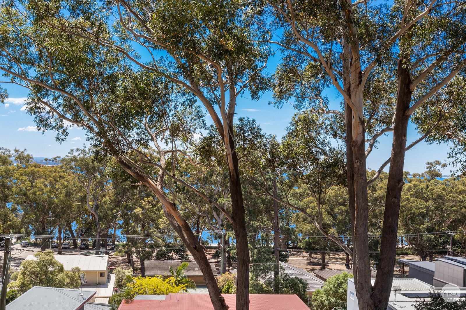 23A Irambang Street NELSON BAY 11