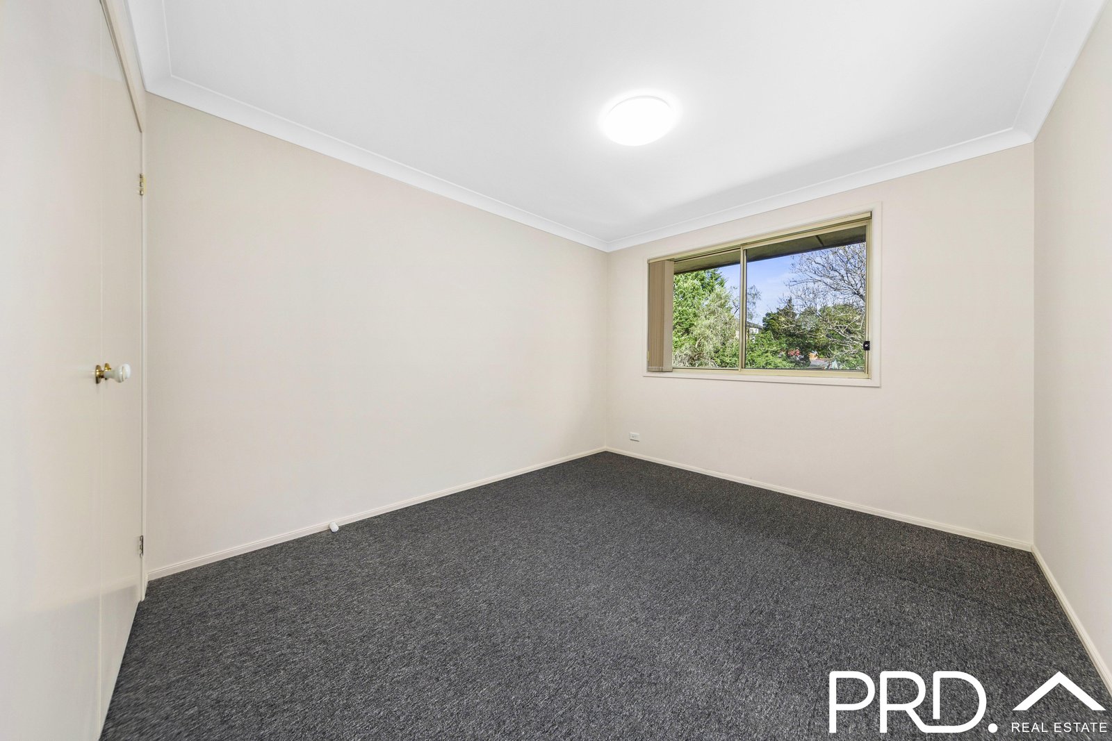 23b Childs Street EAST HILLS 5