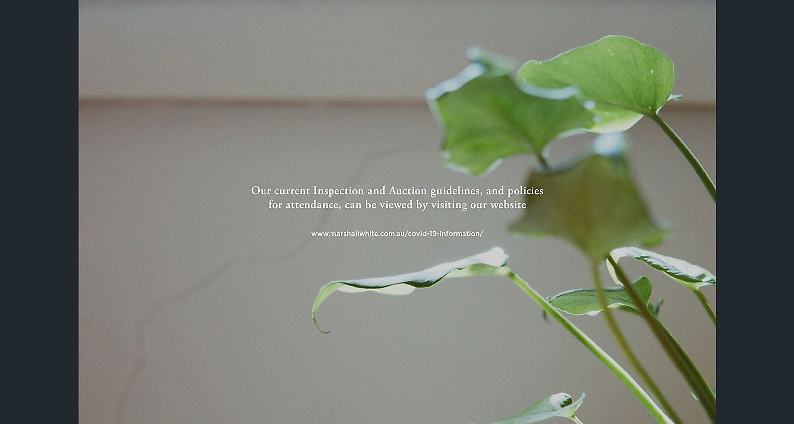 24 Allchin Avenue, Mornington, VIC