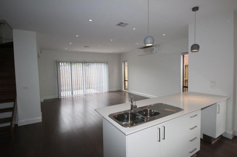 Gallery: 2/4 Argus Street