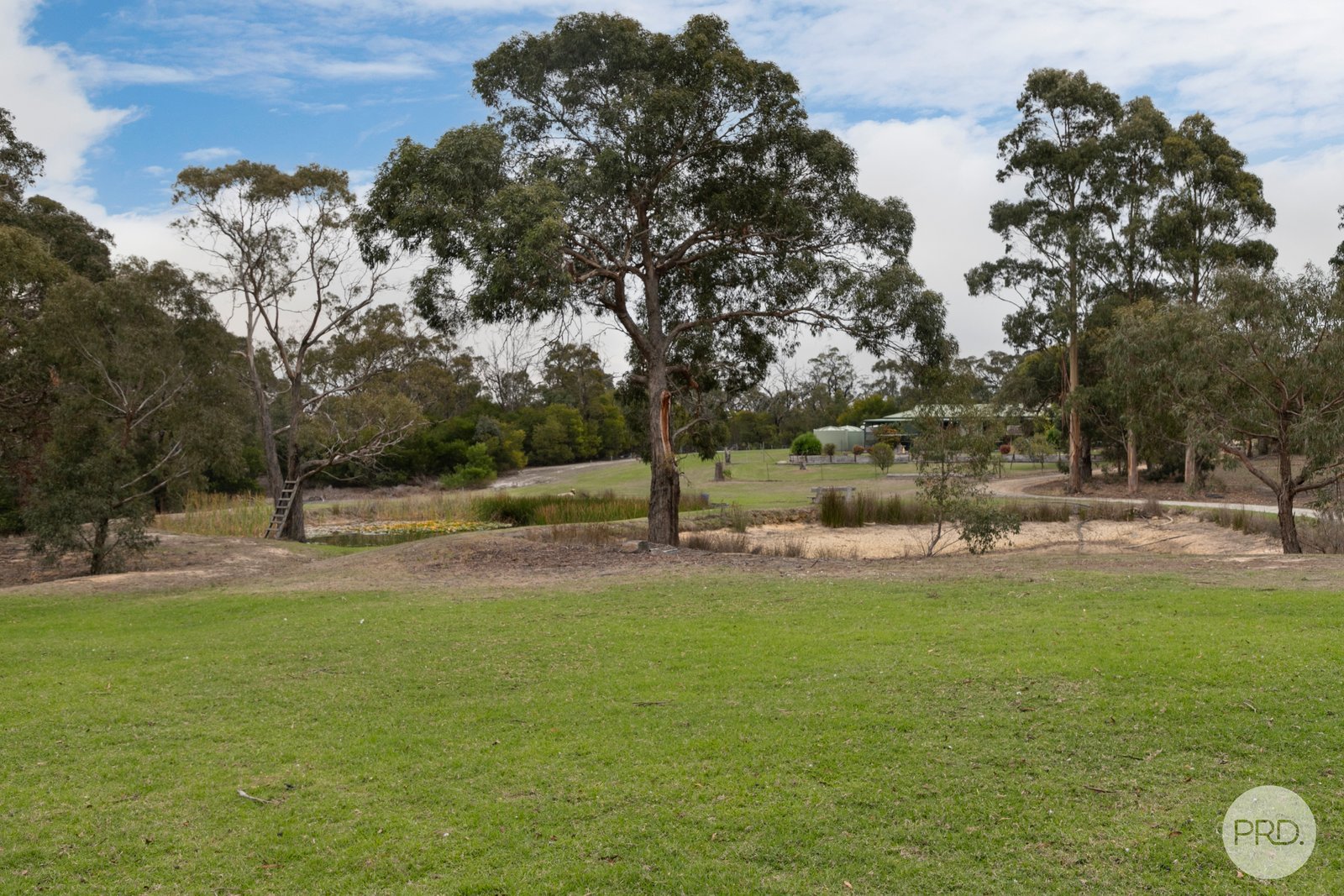 24 Banksia Road DEREEL 2