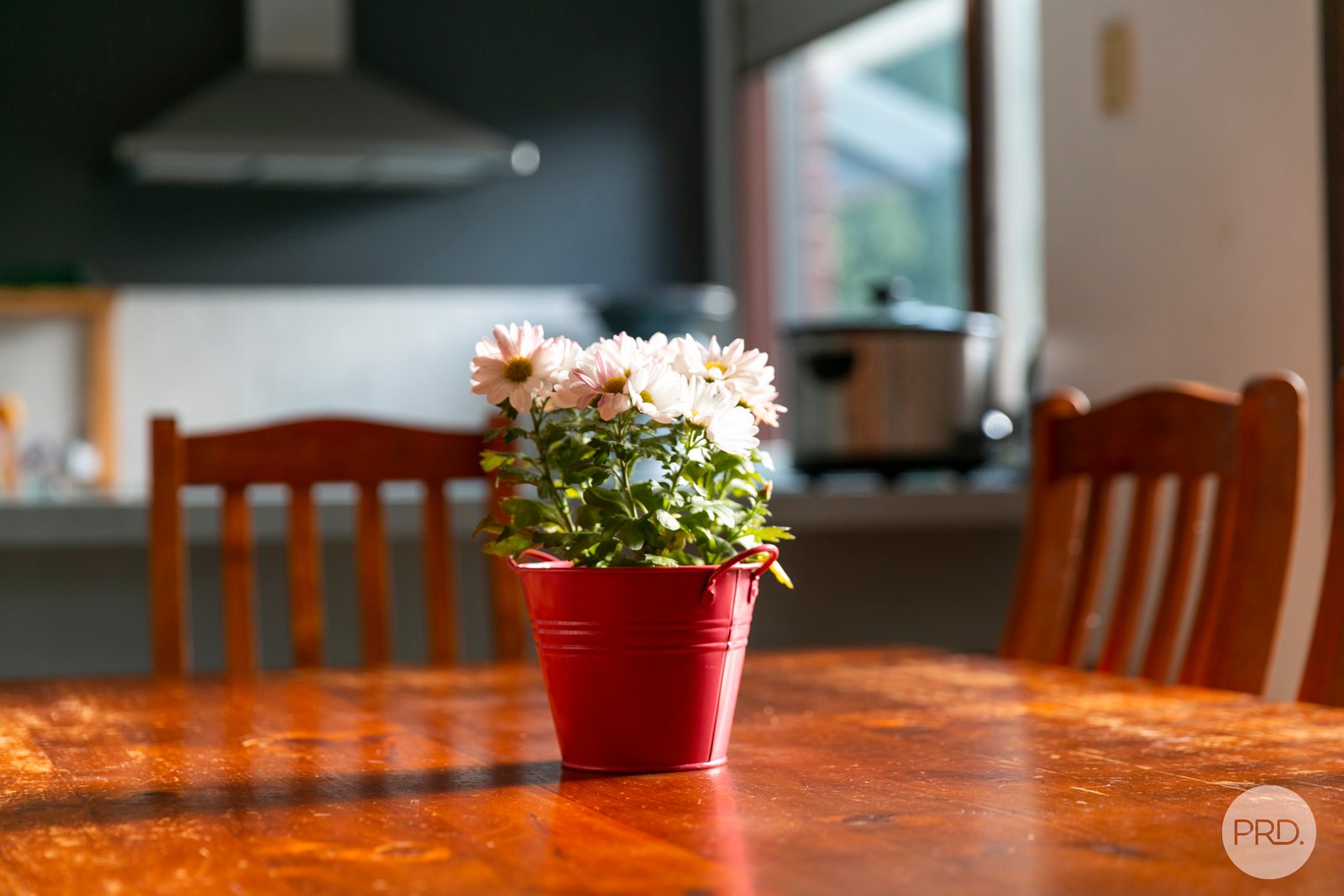 24 Bogart Drive WENDOUREE 10