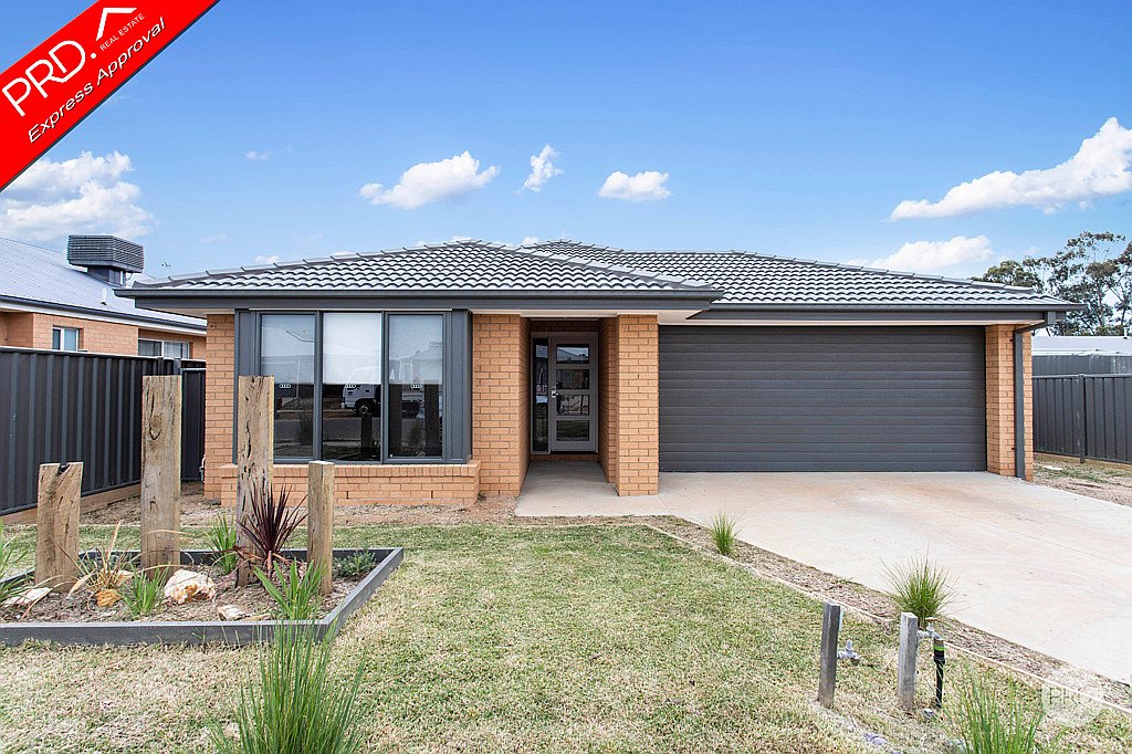 24 Bonnington Street JACKASS FLAT 2