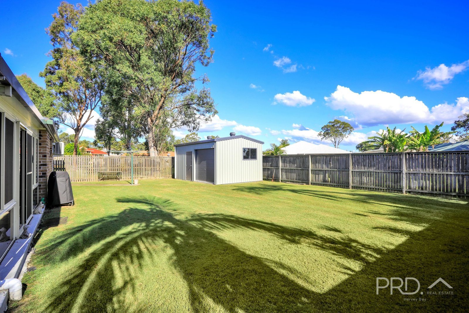 24 Bowerbird Avenue ELI WATERS 5